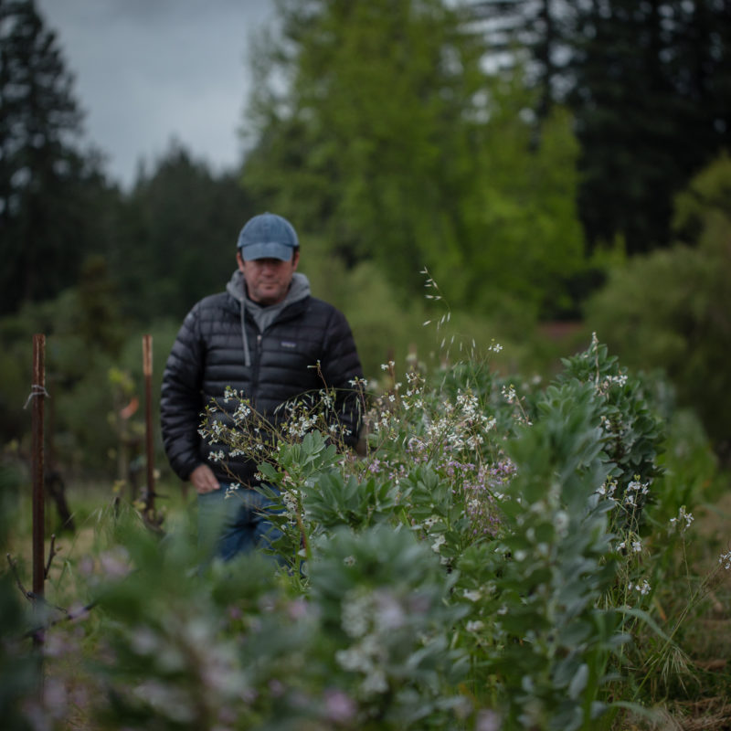 eric sussman in vineyard					