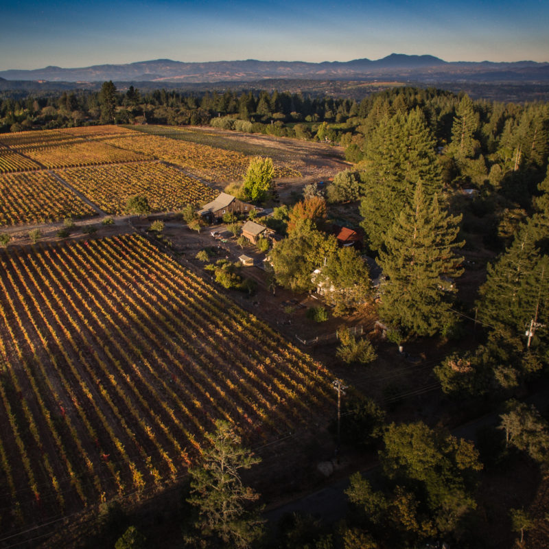 sean desmond fall aerial 2					