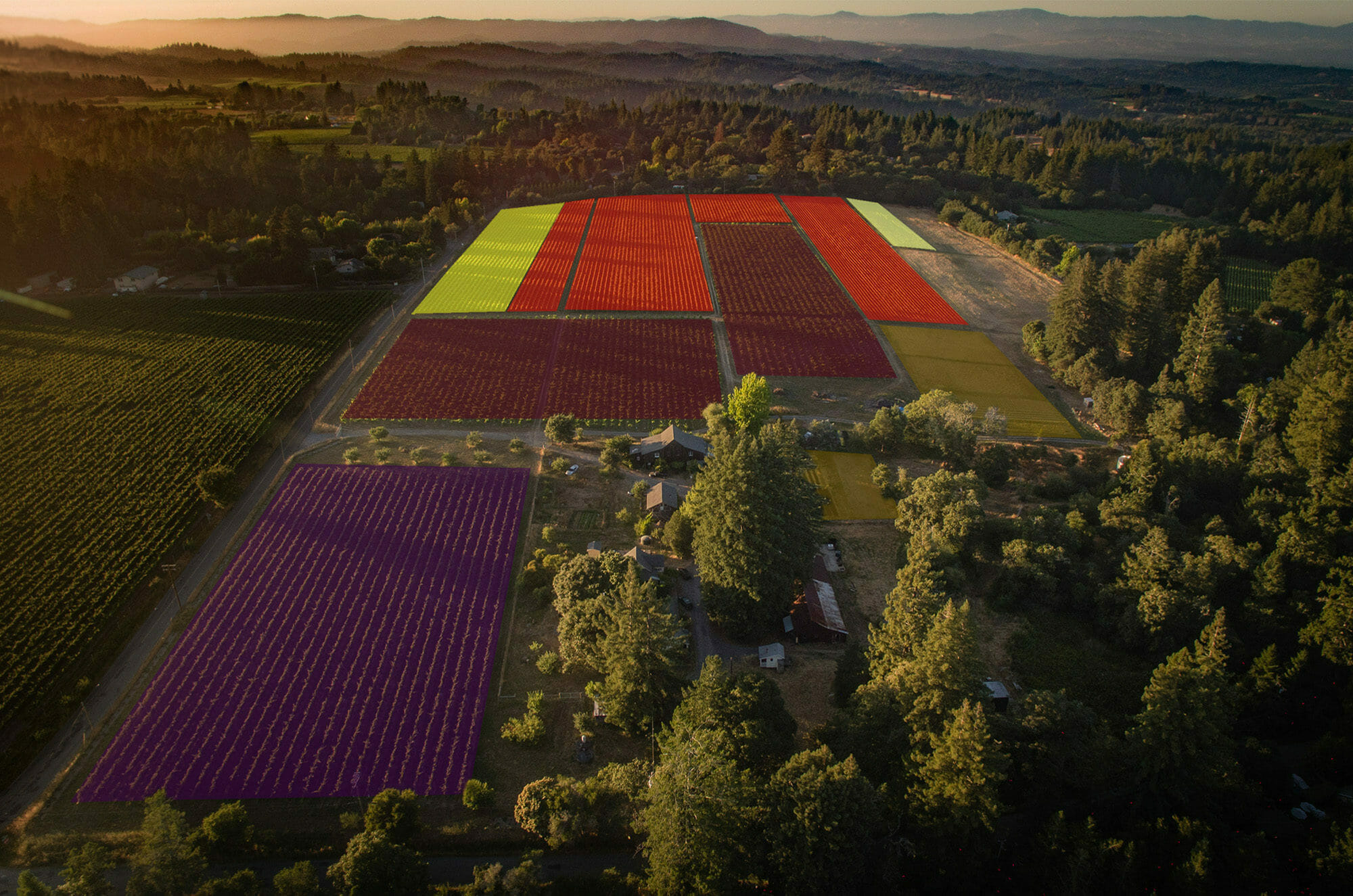 Vineyard Map