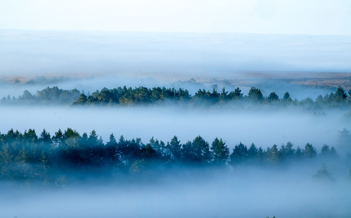 la neblina clouds sonoma coast